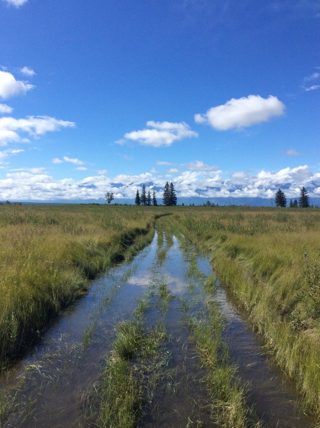 The floodplain road