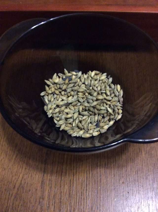 Malted barley