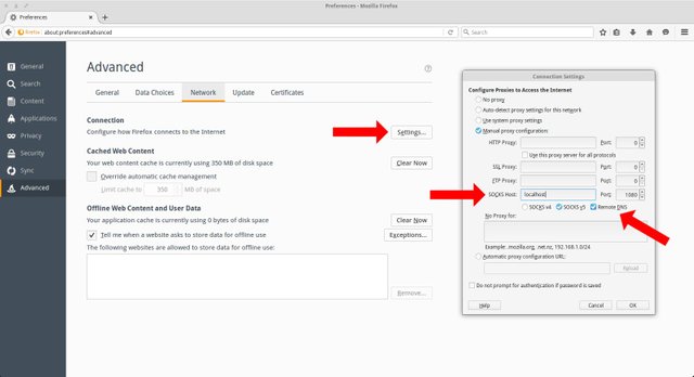 SOCKS proxy settings in Firefox