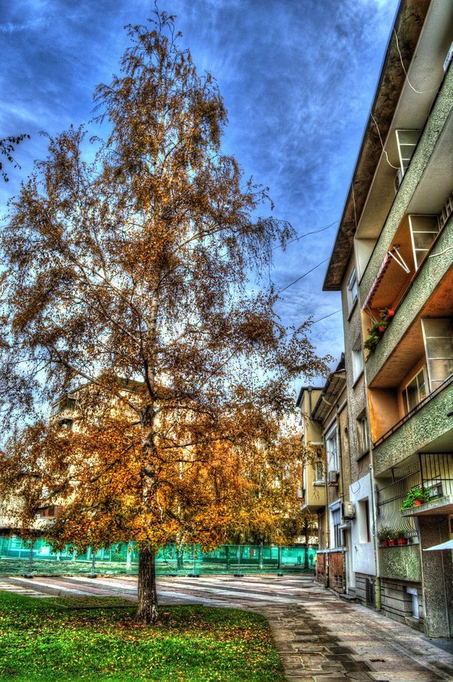 Click to zoom