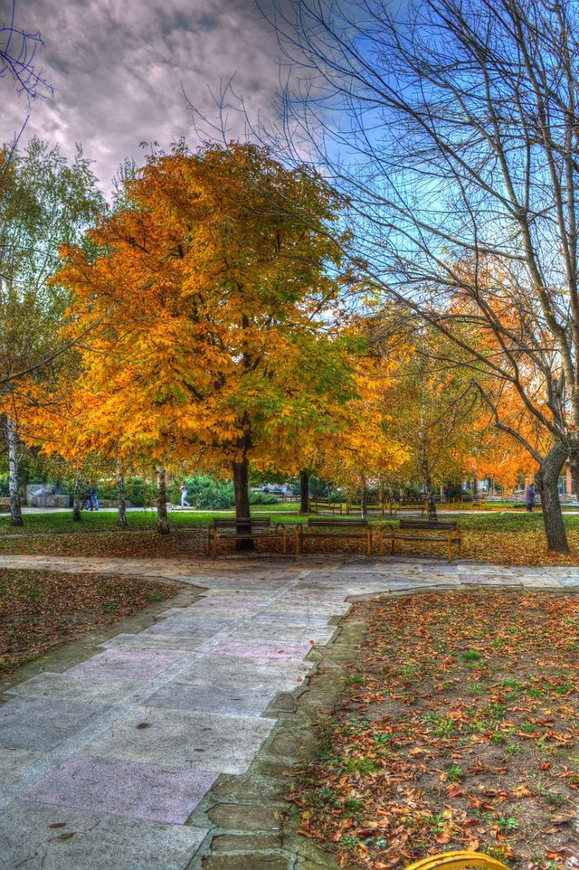 Click to zoom