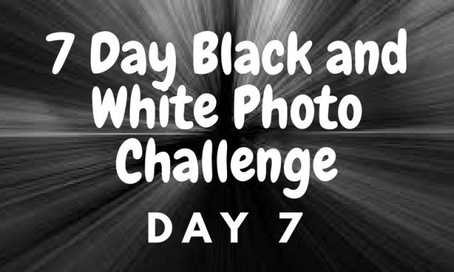 7_Day_Black_and_White_Photo_Challenge_1