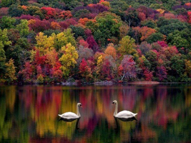 371042_nature_autumns_natural_beauty