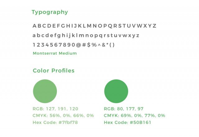 color & typography