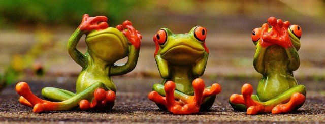 frogs_1274769_1920