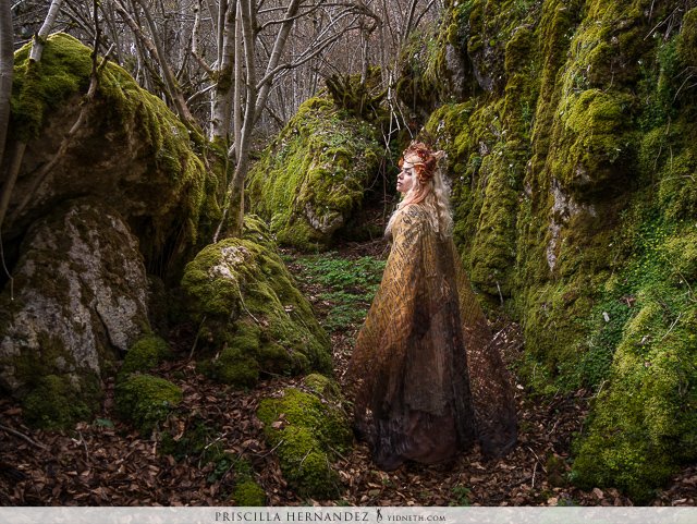 A labyrinth of moss - Priscilla Hernandez