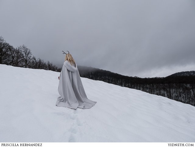 Deer Princess in the Snow - by Priscilla Hernandez (yidneth.com) - 1.jpg