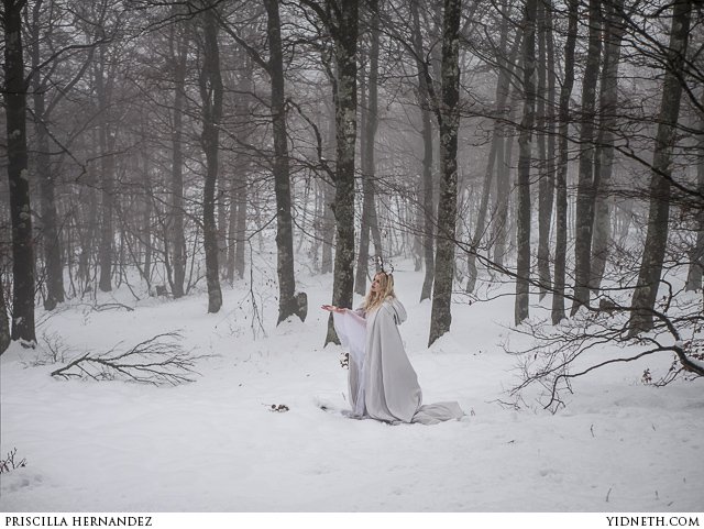 Deer Princess in the Snow - by Priscilla Hernandez (yidneth.com) - 2.jpg