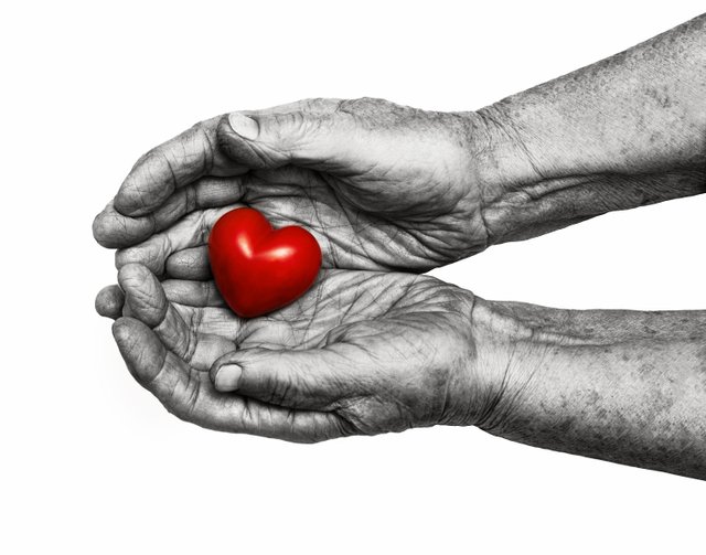 elderly woman keeping red heart in her palms