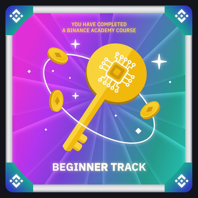 Imagem demonstrando o meu certificado NFT de conclusão do curso 1 da Binance Academy.