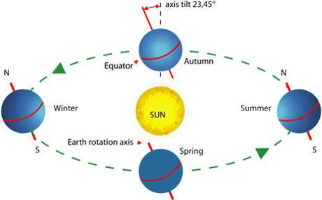 The four seasons of the year: spring, summer, autumn (fall) and