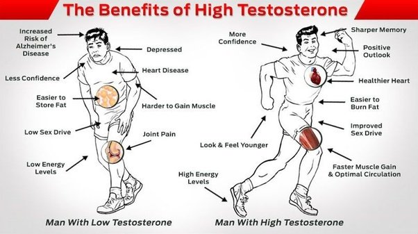 Image of Testosterone Guy