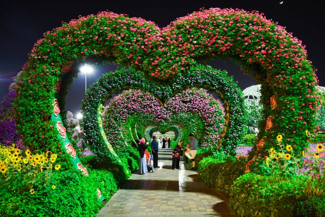 heart shaped pink and purple flower garden