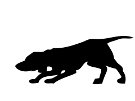 hounddog