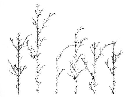 stochastic