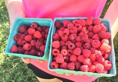 Hello, Raspberries!