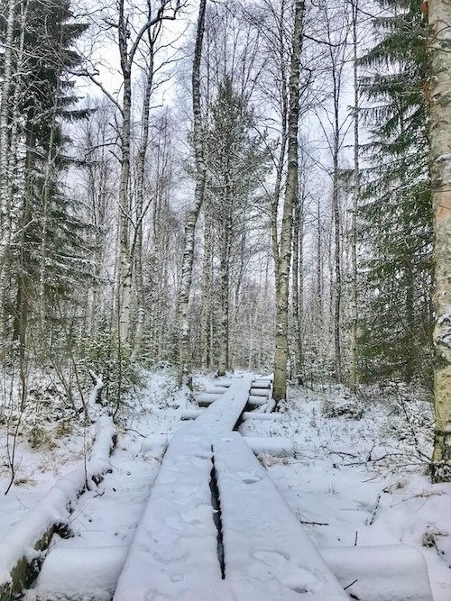 Erster_Schnee__Finnland_Reise_zum_Nordkapp