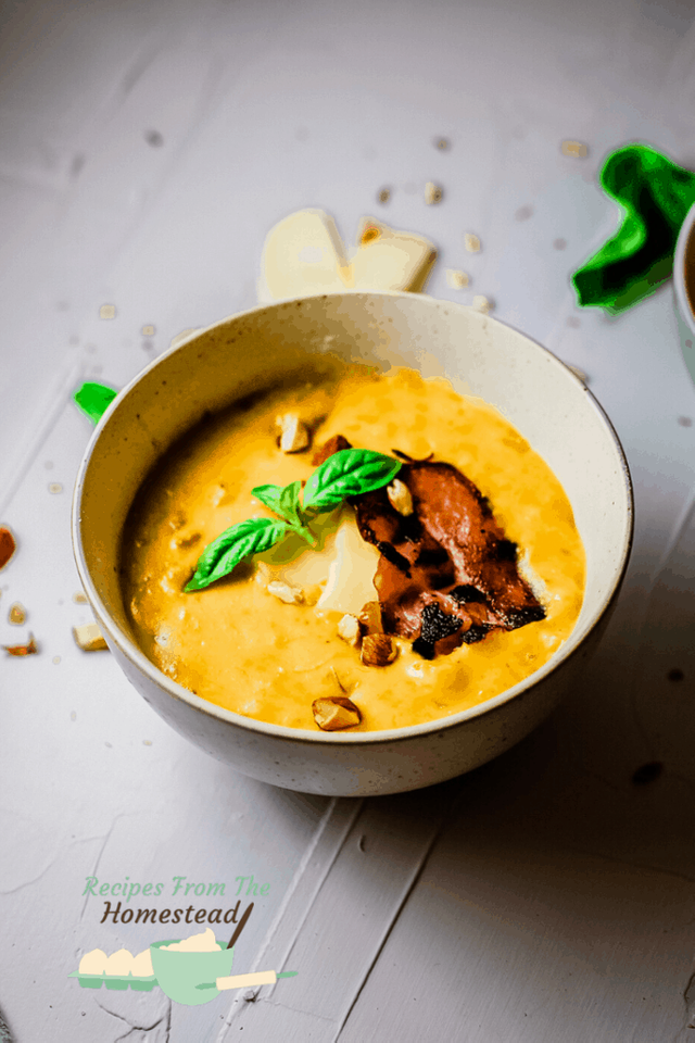 bowl of butternut squash soup