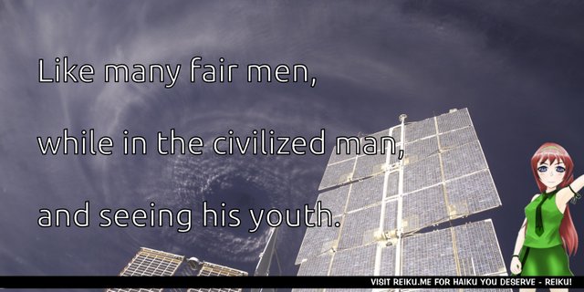 Reiku Haiku