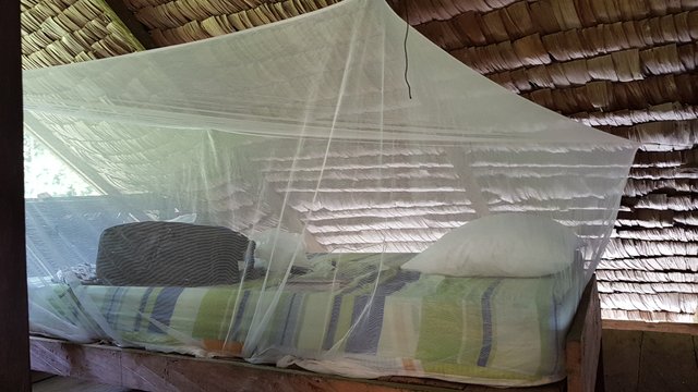 My bed in the research station. There were no mosquitos, but vampire bats...