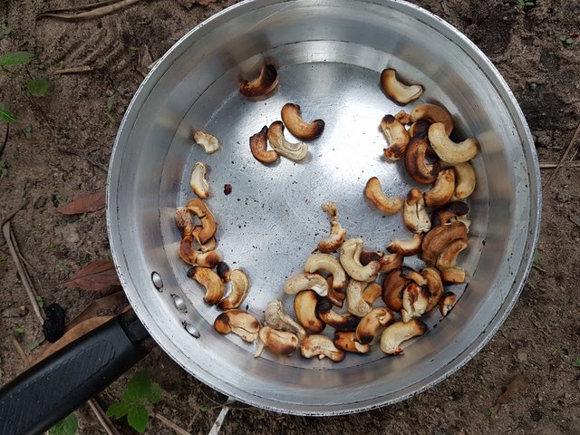 Cashew after cashew we started to fill up this pot. It's a very time-consuming activity and I wonder how this is done in the industry, but it gets obvious, why the nuts are relatively expansive.