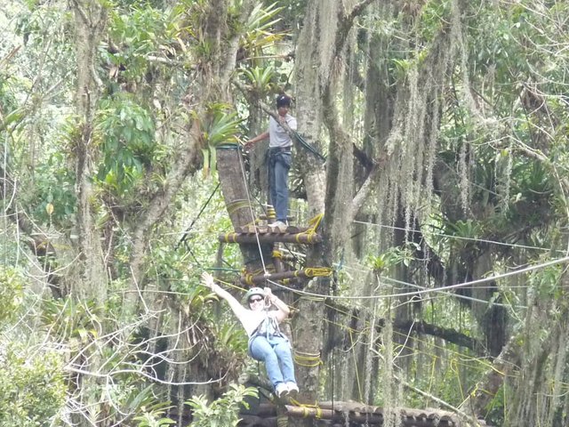 Me, descending by zip line after doing the Air Path in the Botanic Garden of the Los Andes University in the Merida State, Venezuela