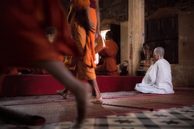 A Buddhist nun at prayer time