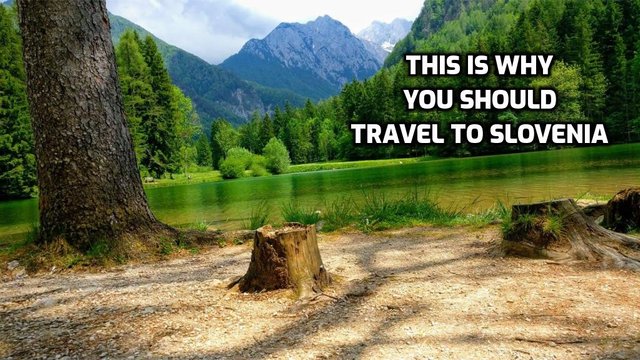 The one and the only reason why Slovenia is a must-visit.