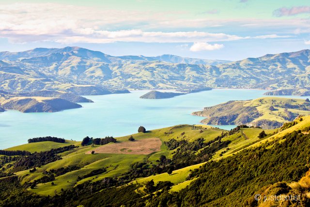 justdentist steemit contest new zealand banks peninsula.jpg