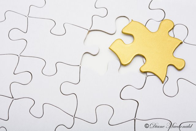 odd one out jigsaw puzzle.jpg