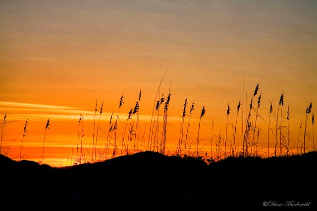 Sunrise Ponte vedtra Beach.jpg