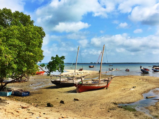 Zanzibarboats.jpg