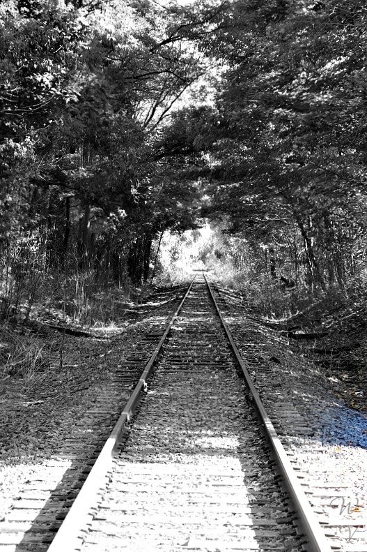 monochromemonday photography bnwphotos traintracks.jpg