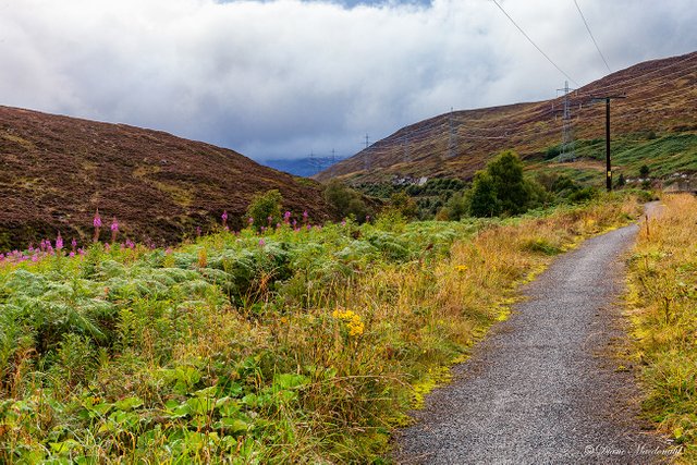 Cairngorms.jpg