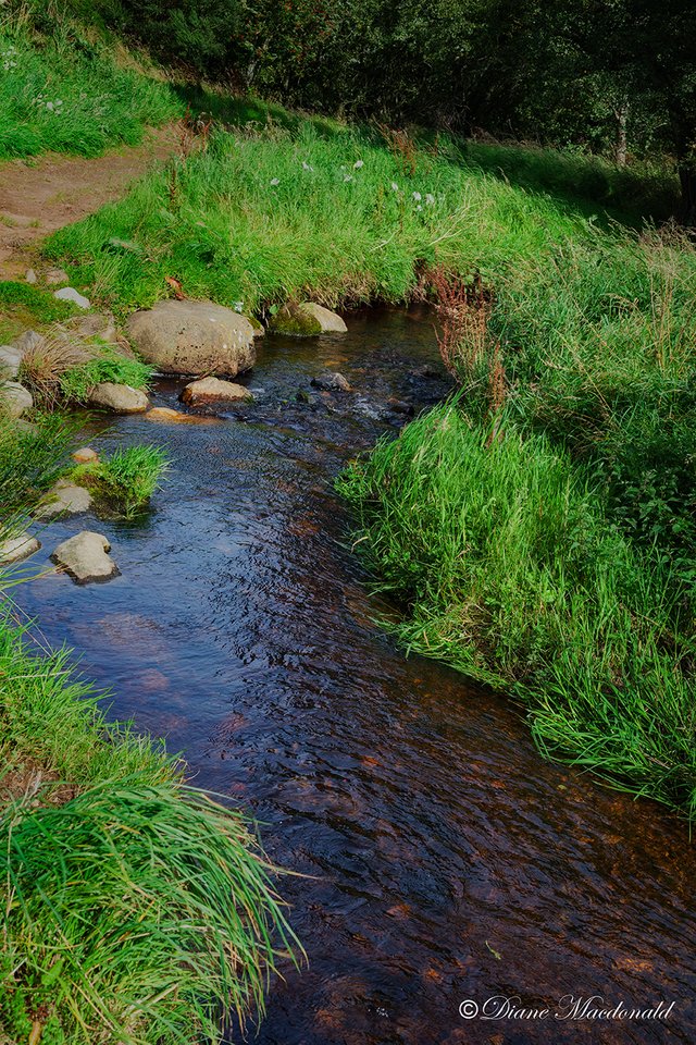 clochan burn.jpg