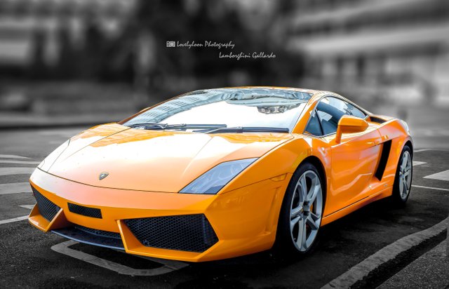 Lamborghini Gallardo.jpg