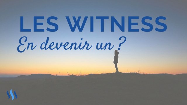 Devenir un Steem witness.jpg