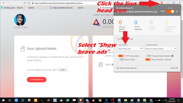 Brave ads.png