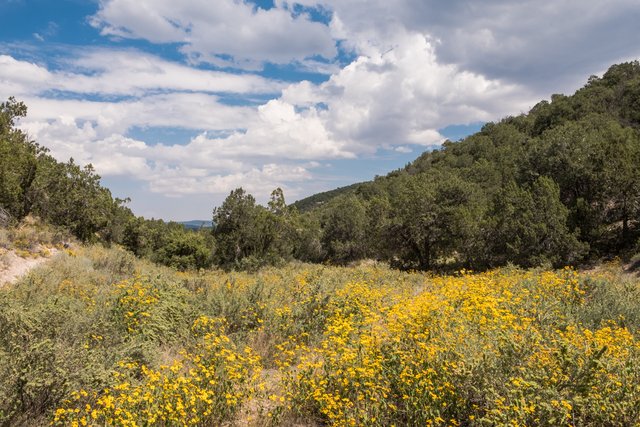 1st Grand Enchantment Trail 5.jpg