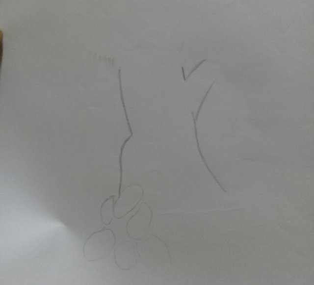 20171123_203752.jpg