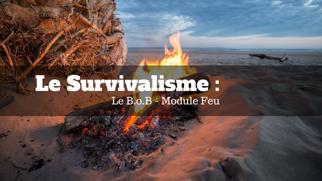 Le Survivalisme _(3).png