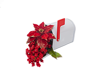 poinsettia mailbox small.png