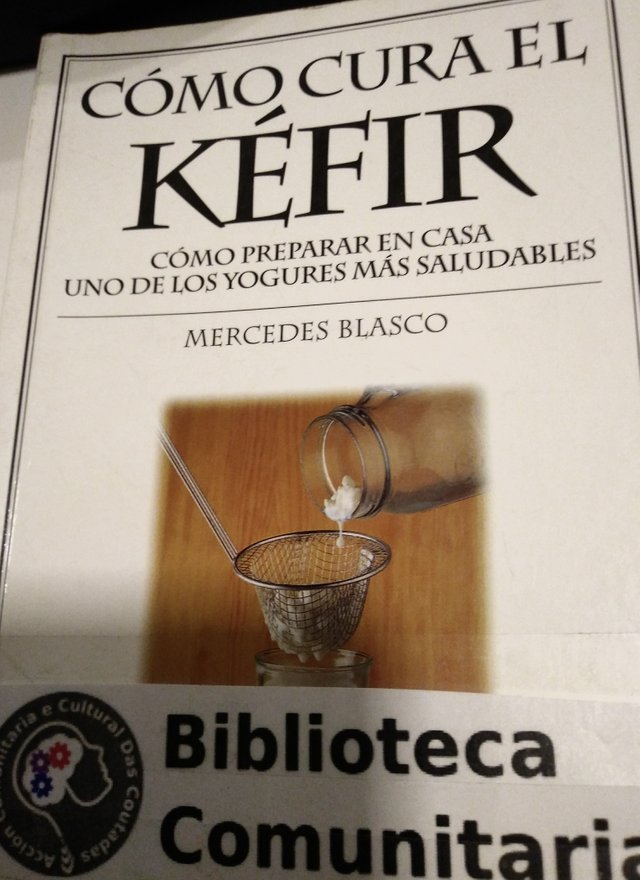 como_cura_el_kefir__mercedes_blasco_sbxid194-14819385 .jpg