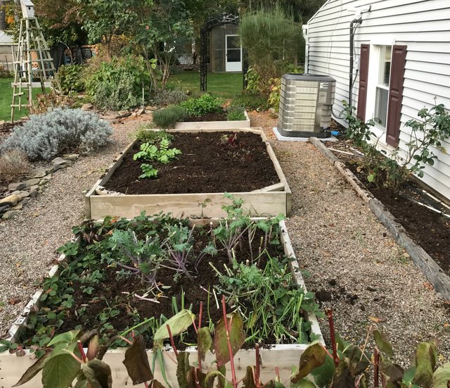 gardening sustainableliving manure composting sunscape.jpg