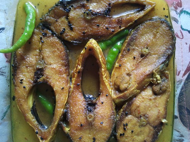 hilsa-fish_bd_9.jpg