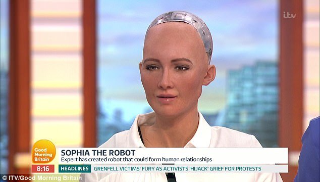 social robot sophia