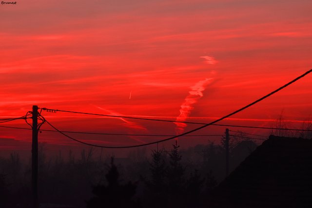 DSC_3420-red-ST.jpg