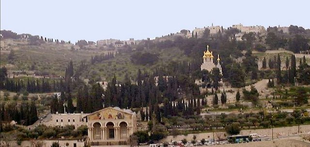 mount of olives.JPG