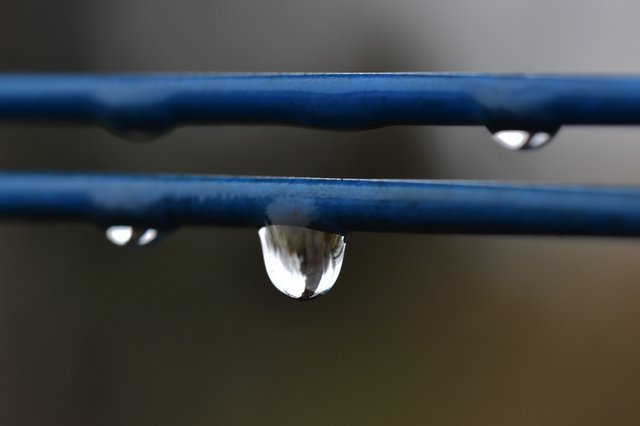 waterdrops lines macro 1.jpg