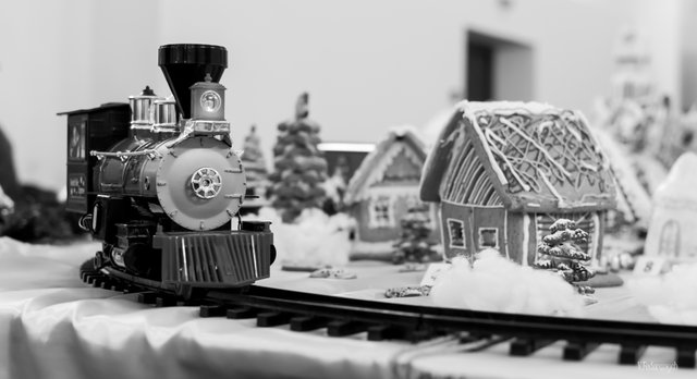 DSC_6740.jpg